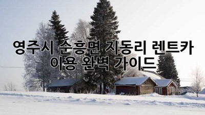 영주시 순흥면 지동리 렌트카 이용 완벽 가이드