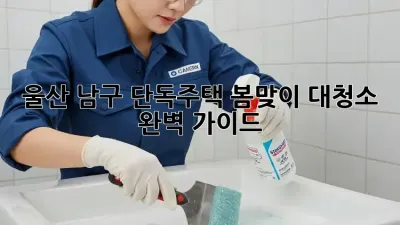 울산 남구 단독주택 봄맞이 대청소 완벽 가이드 ✨