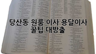 당산동 원룸 이사? 용달이사 꿀팁 대방출!