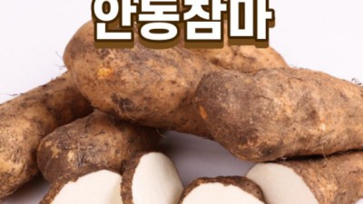 득템찬스! 세척장마 최고의 선택 가이드✨